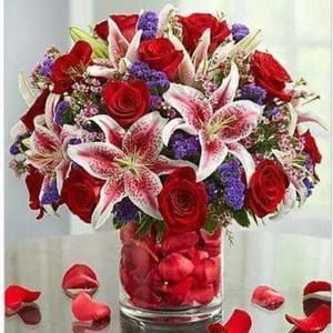 Meet your Posher, Marcella